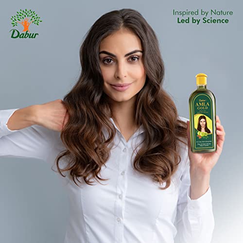 Dabur Amla Gold Hair Oil, 300 ml Bottle