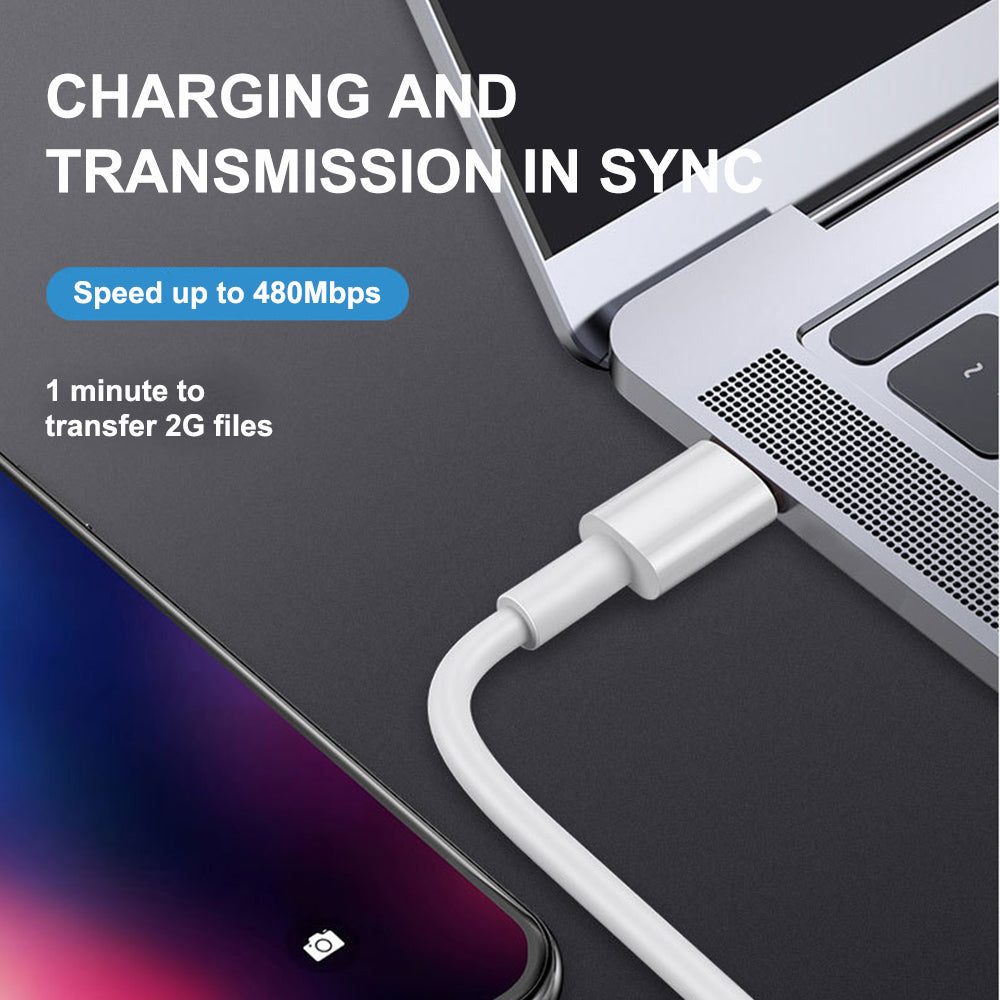 USB-C to Lightning Cable (1 m)